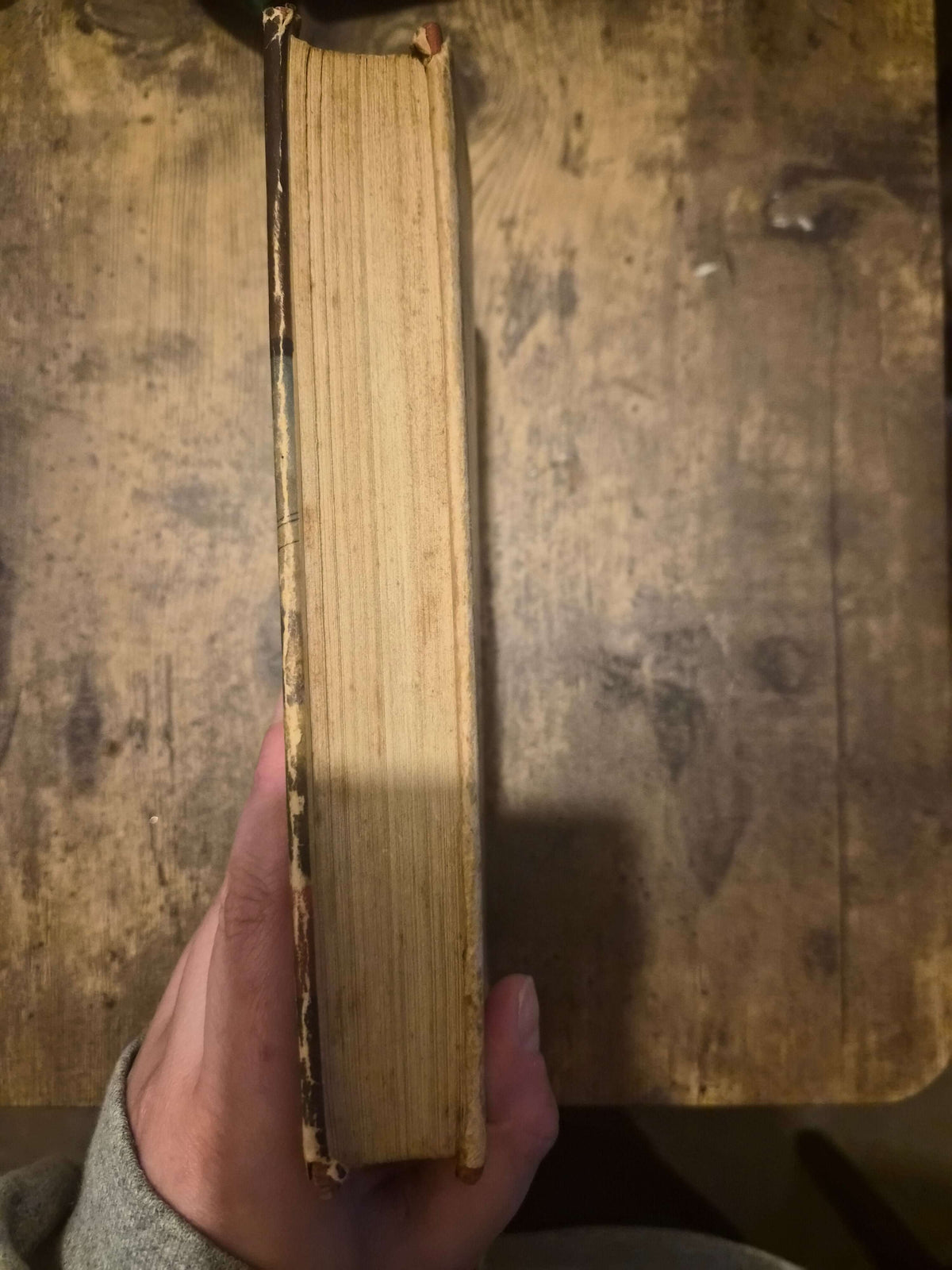 The Wayward Bus — John Steinbeck | 1947 First Edition, First Printing | Original Dust Jacket