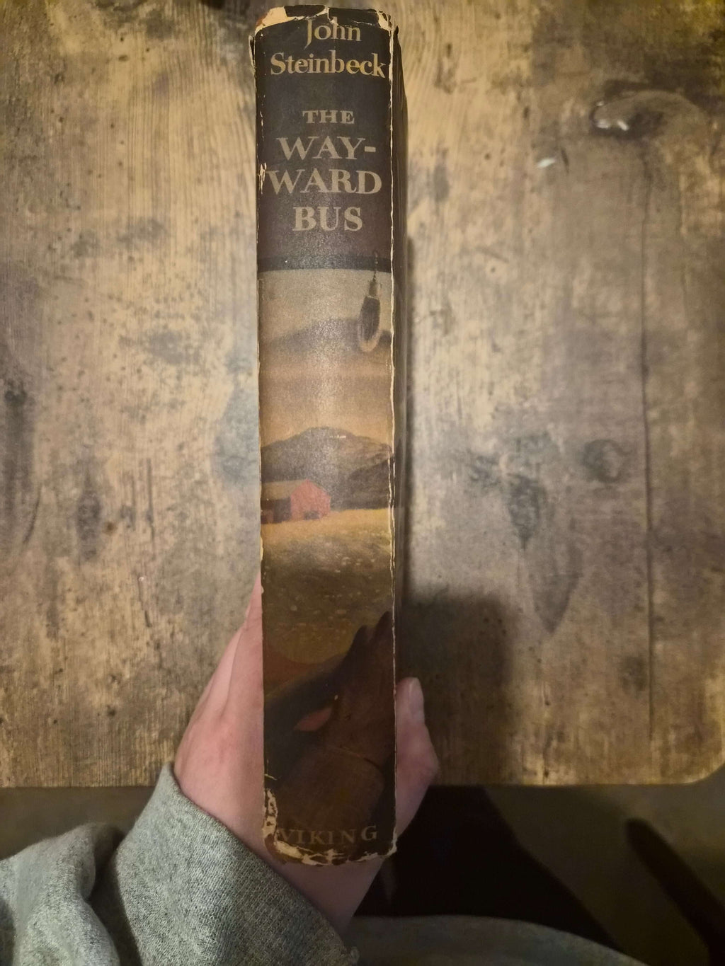The Wayward Bus 1947 first edition spines showing John Steinbeck title, Viking Press publisher.