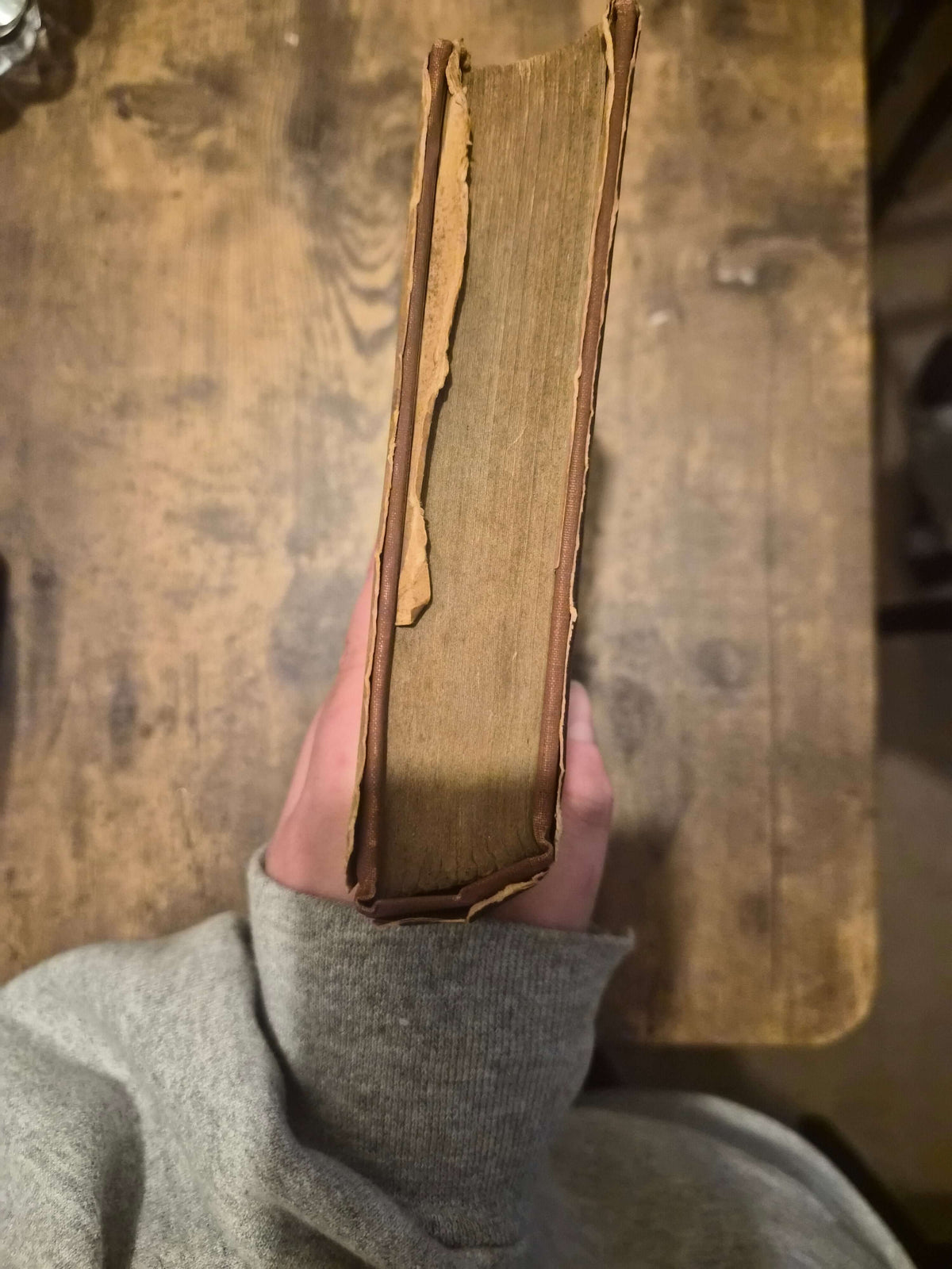 The Wayward Bus — John Steinbeck | 1947 First Edition, First Printing | Original Dust Jacket